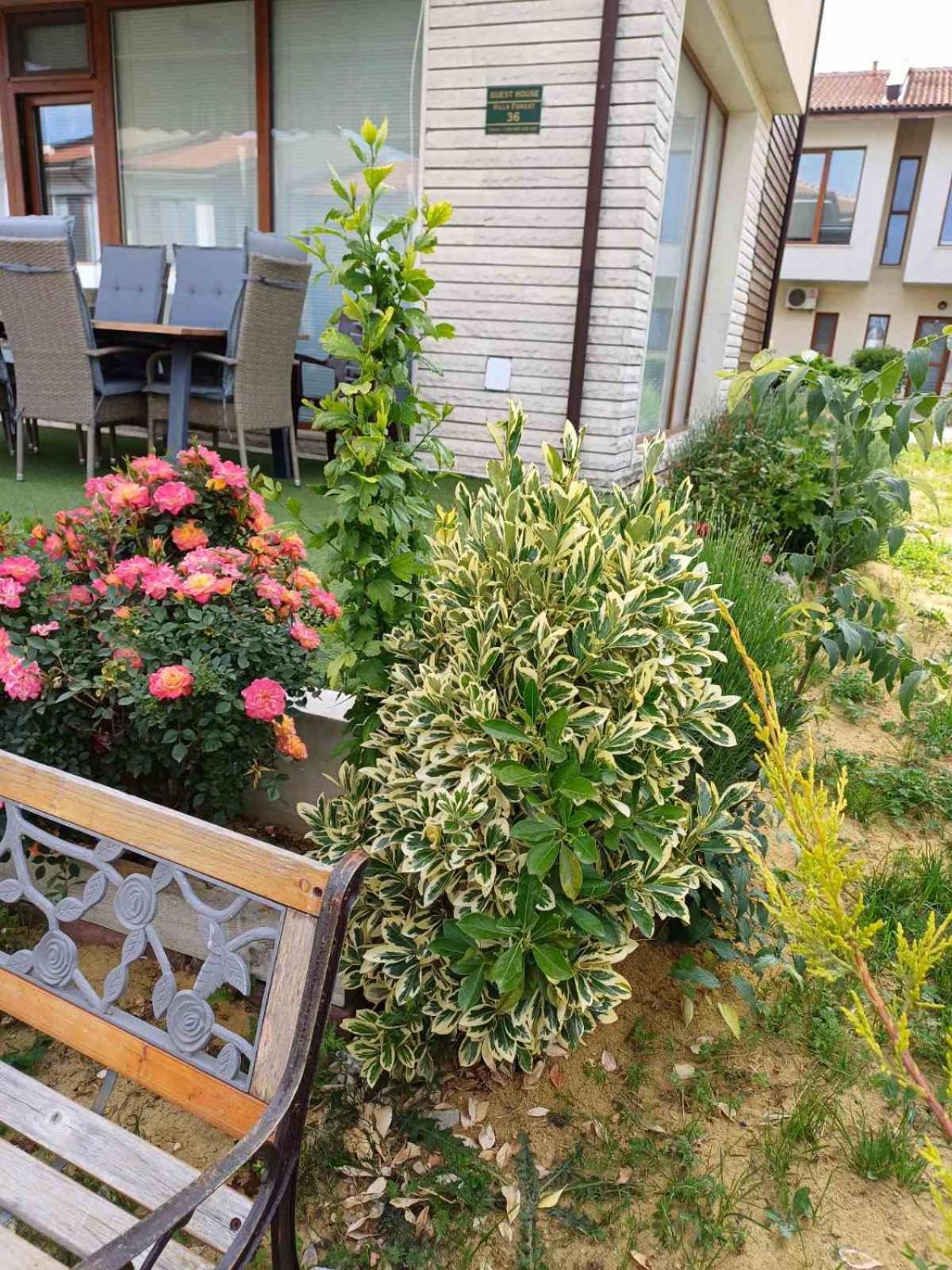 Lighthouse 3 Bedrooms Villa F36 Balçık Dış mekan fotoğraf